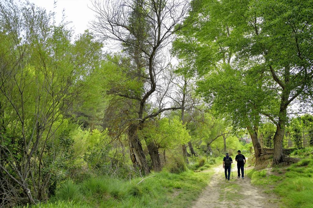 Casa Rural La Tahona Elche de la Sierra Værelse billede